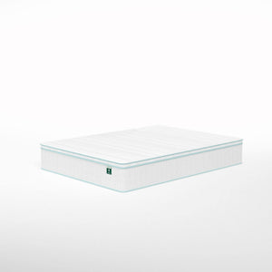 Euro Top Memory Foam Spring Hybrid Queen Mattress