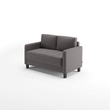 Load image into Gallery viewer, Sunny Modern Loveseat
